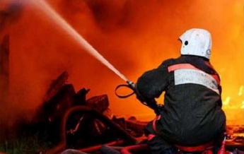 Мелитопольский район: спасатели ликвидировали пожар на территории частного домовладения