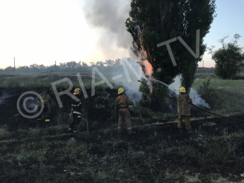 В Мелитополе горела балка в районе  трассы мотокросса (видео)