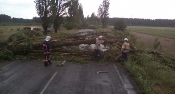 Україною пронісся потужний шторм: рятувальники розповіли про руйнування та жертви