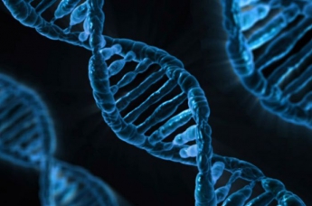 Из ДНК человека удалили ген, отвечающий за развитие заболевания