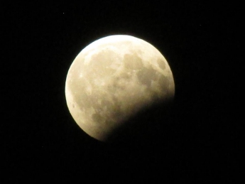Горожане делятся фото лунного затмения (фото)
