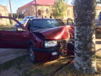 Пьяная мать на авто с пятью детьми снесла забор и врезалась в дерево (Фото)