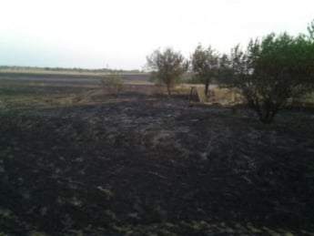 Под Мелитополем едва не сгорело село