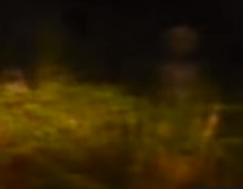 Видеошок: американец снял на видео гуманоида на обочине