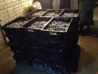 Прикордонники спільно з поліцією та рибоохороною виявили 2 тонни незаконного вилову