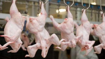 Почему курятина в Украине бьет ценовые рекорды