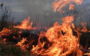 В Мелитополе горело кладбище