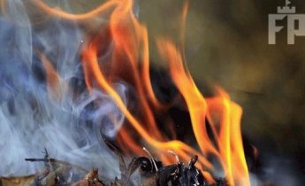 В Запорожье заживо в костре сгорела женщина