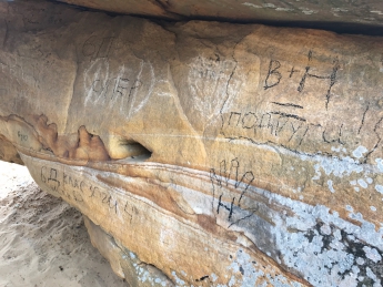 На Каменной Могиле обнаружены новые наскальные "письмена" (фото)
