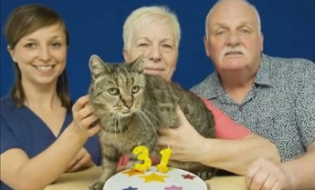 В Великобритании умер самый старый на планете кот: фото