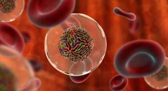 Не ВІЛ: вчені визначилися з найбільш вбивчим вірусом
