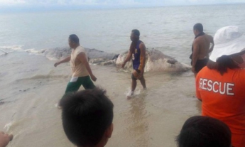 На Филиппинах местные жители обнаружили на побережье неизвестное животное