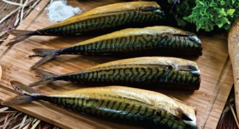 Число пострадавших растет: уже 66 человек отравились рыбой во Львове