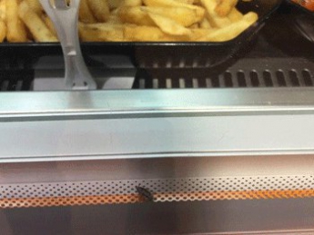 Отвратительный "довесок" к картошке фри ползал в кулинарном отделе "Сильпо" (фото)
