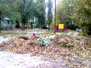 Коммунальщики никак не договорятся и завалили дворы листьями (фото)