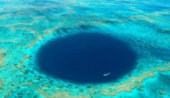 Ученые узнали, что скрывает "голубая дыра" у берегов Австралии