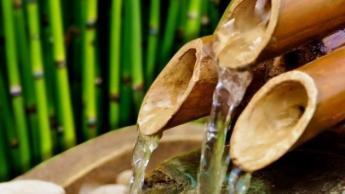 Китаец заработал $300 тыс., заливая водку в бамбуковые стебли (видео)