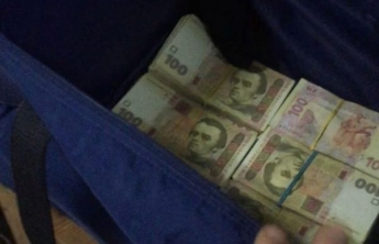 Школьники нашли сумку с крупной суммой денег (Фото)