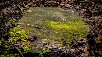 Ученые вскрыли могилу Николая Чудотворца: появились фото