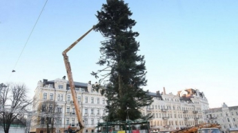 Стало известно, почему Киев получил лысую елку