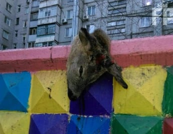 В Запорожье возле детской площадки развесили труп оленя (ФОТО 18+)