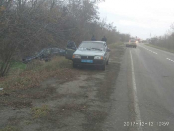 ДТП на Запорожской трассе. Иномарка вылетела в кювет после лобового столкновения (фото)