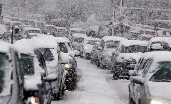 Аномальная погода в США: Флорида впервые за 29 лет увидела снег
