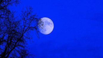 Три в одном: сегодня можно будет наблюдать суперлуние, лунное затмение и голубую Луну
