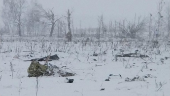 В результате крушения самолета в Подмосковье никто не выжил, найдено более 50 тел (видео)
