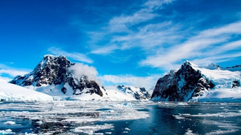Впервые в истории появились фотографии обидателей дна Антарктиды