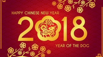 Поздравления с китайским Новым годом в стихах и смс