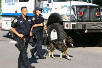 В Калифорнии полиция предотвратила возможную новую массовую стрельбу в школе