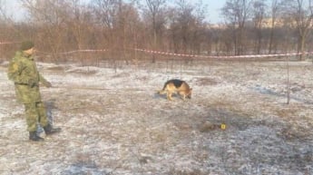 В Кривом Роге собака откопала тело мертвого ребенка (фото)