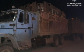 В Запорожье задержали грузовик, перевозивший порезанные авто (фото)