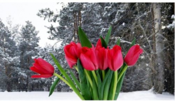 Погода на 7 марта: в Украину придет весна