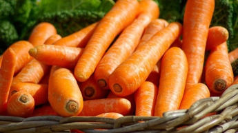 Морковь полезна для здоровья человека - медики