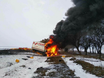 В Днепропетровской области столкнулись легковой автомобиль и грузовик мясокомбината: погибли 3 человека