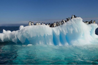 Антарктида поведала жуткие тайны прошлого