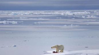Европа и Арктика поменялись климатом - ученые