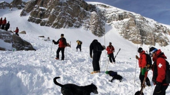 Во Франции в результате схождения лавины погиб лыжник