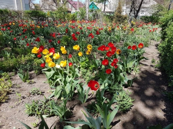 В Мелитополе появился ботанический сад (фото)