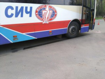 На Шевченковском автобус «Мотор Сич» сбил ребенка (фото)