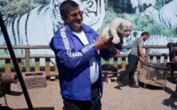 В бердянском зоопарке родился редкий тигренок (Фото)