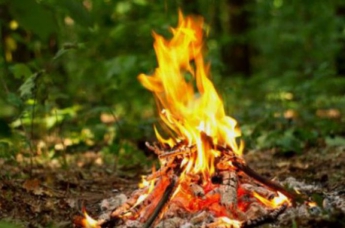 ГСЧС Украины предупреждает о чрезвычайном уровне пожарной опасности