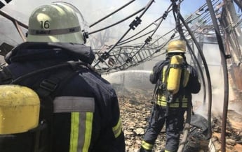 Пожар в столичном Гидропарке ликвидировали - ГСЧС