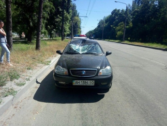 В Запорожье автомобиль сбил оленя (фото)