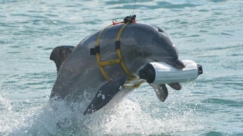 В Крыму погибли украинские боевые дельфины