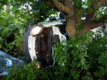Смертельное ДТП в Николаевской области: микроавтобус врезался в дерево, пять человек погибли