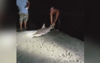 В США мужчина уволок за хвост живую акулу (видео)