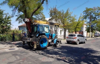 В Запорожской области тракторист "подвинул" иномарку (Фото)